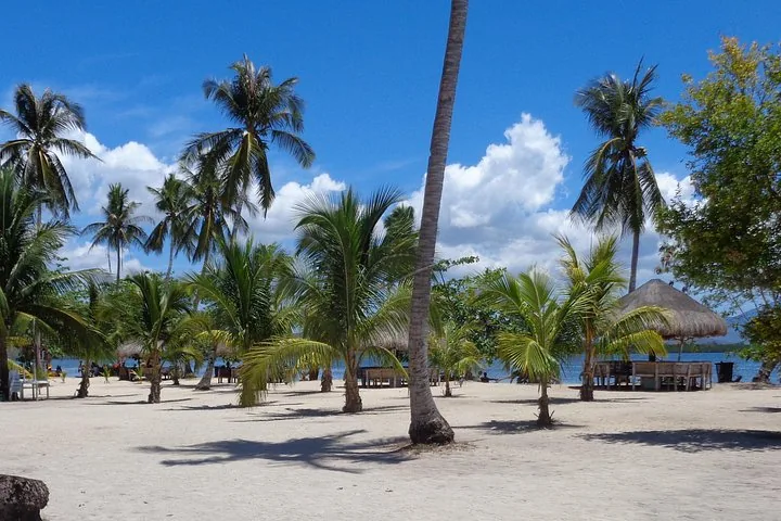 Sandy beach with palm trees and a thatched-roof hut on an island